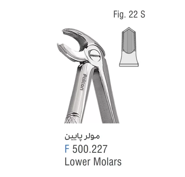 فورسپس مولر پایین Fig:22S