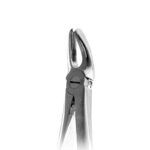 فورسپس مولر بالا چپ و راست برند Dental Devices - فورسپس مولر بالا چپ و راست دنتال دیووایس - سراینه, ابزار دندانپزشکی ترمیمی, دیش درب دار, ابزار دندانپزشکی استیل, ابزار معاینه, ابزار ترمیمی, ست جراحی, ابزار ایمپلنت, الواتور, سوند, تجهیزات دندانپزشکی, پنس, ابزار دندانپزشکی, دسته اینه, فورسپس دندانپزشکی